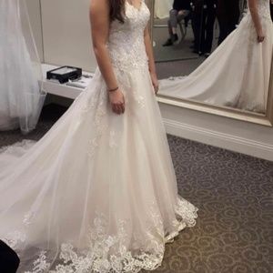 Wedding dress and veil